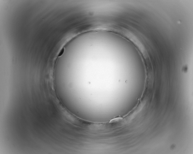 X0000103331481200809192153