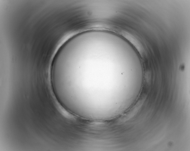 X0000103331482200809192153