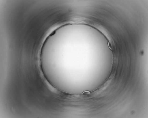 X0000103331485200809192152