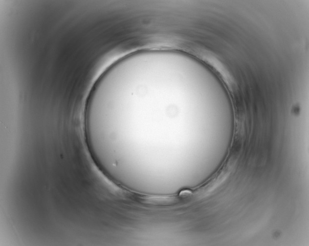 X0000103331487200809192152