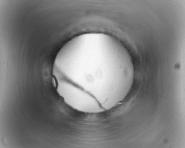 X0000103331490200809192152