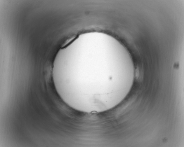 X0000103331492200809192152