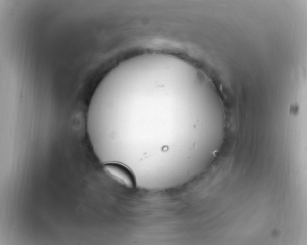 X0000103331493200809192152