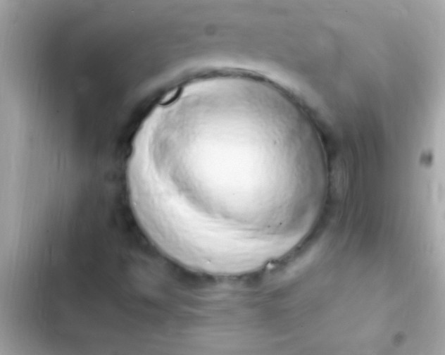 X0000103331494200809192152