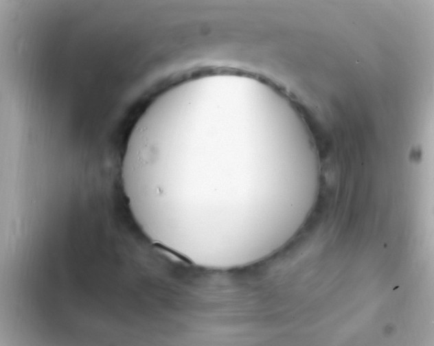 X0000103331495200809192152