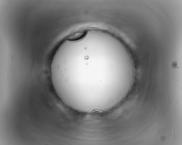 X0000103331496200809192152