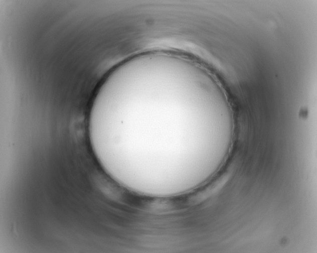 X0000103331497200809192152