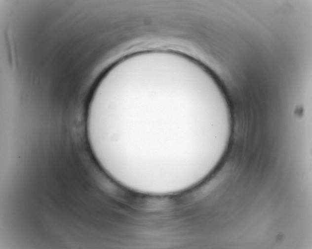 X0000103331498200809192152