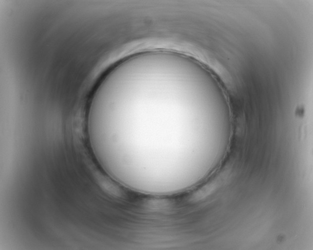 X0000103331499200809192152