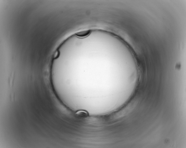 X0000103331500200809192152