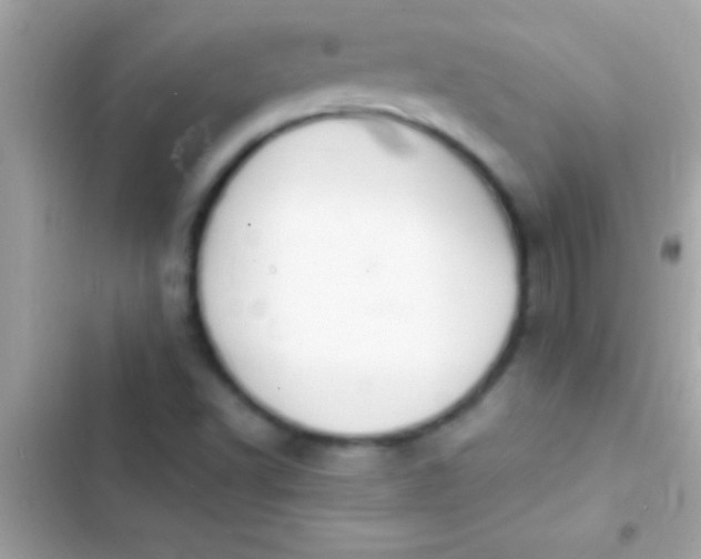 X0000103331502200809192152