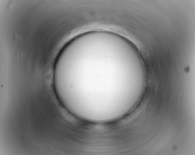 X0000103331507200809192152