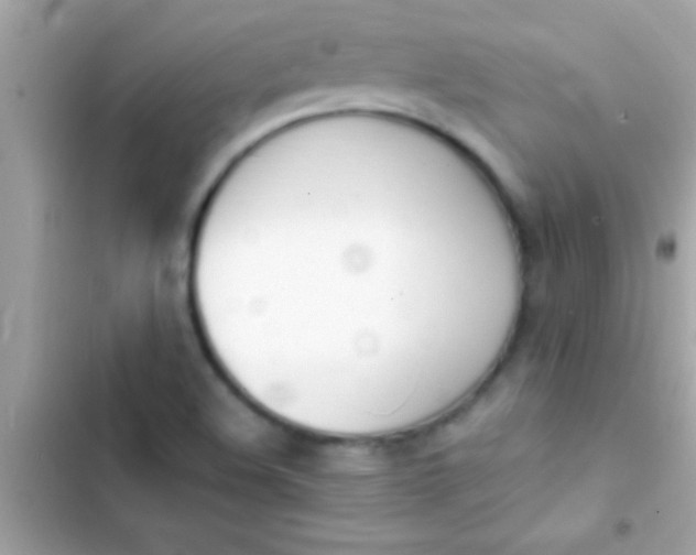 X0000103331508200809192152