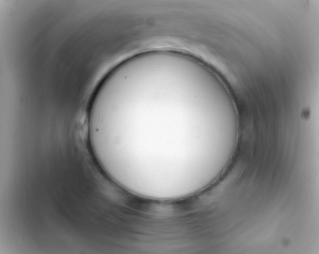 X0000103331509200809192152