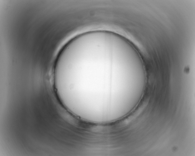 X0000103331510200809192152