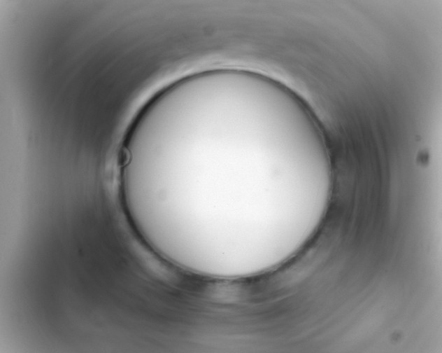 X0000103331511200809192152