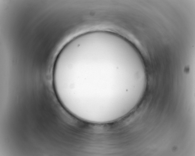 X0000103331512200809192152