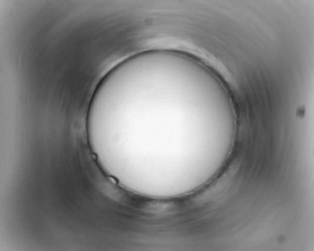 X0000103331513200809192152