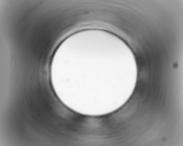 X0000103331514200809192152