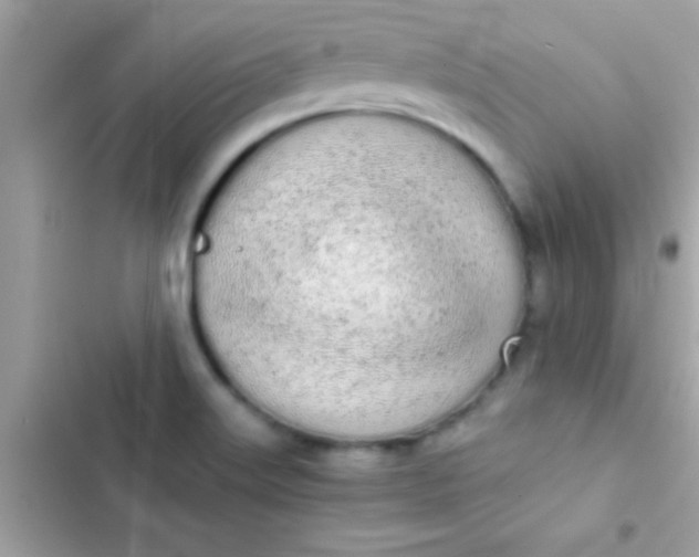 X0000103331515200809192152