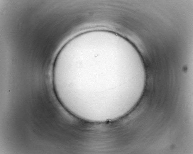 X0000103331516200809192152