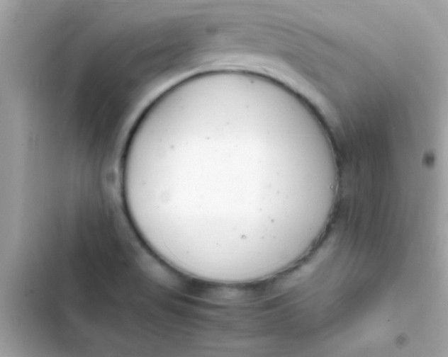 X0000103331517200809192152