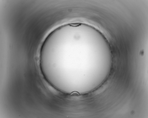 X0000103331519200809192152