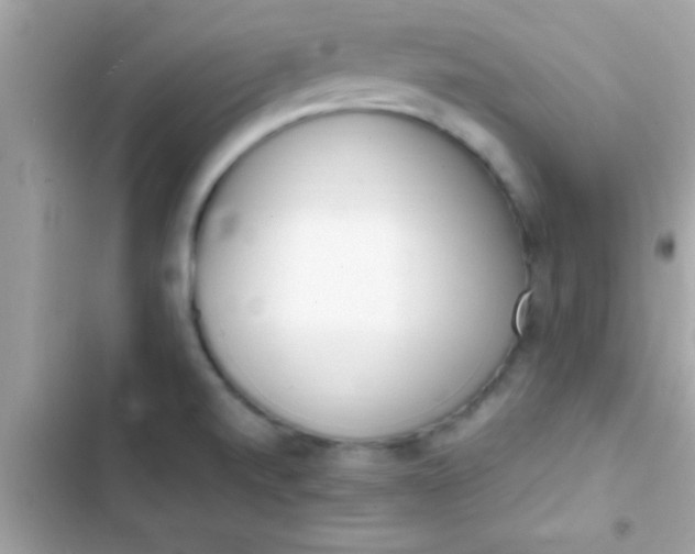 X0000103331520200809192152