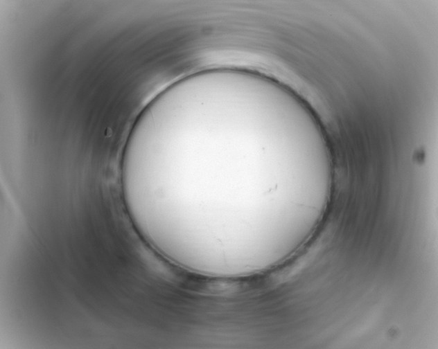 X0000103331521200809192152