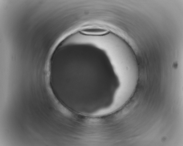 X0000103331522200809192152