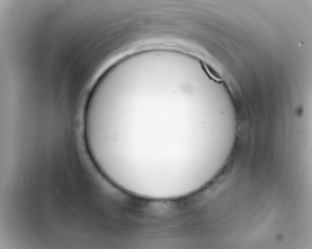 X0000103331523200809192152