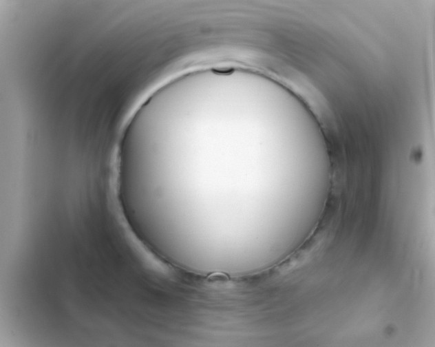 X0000103331524200809192152