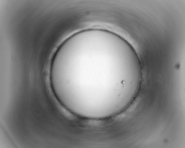 X0000103331525200809192152