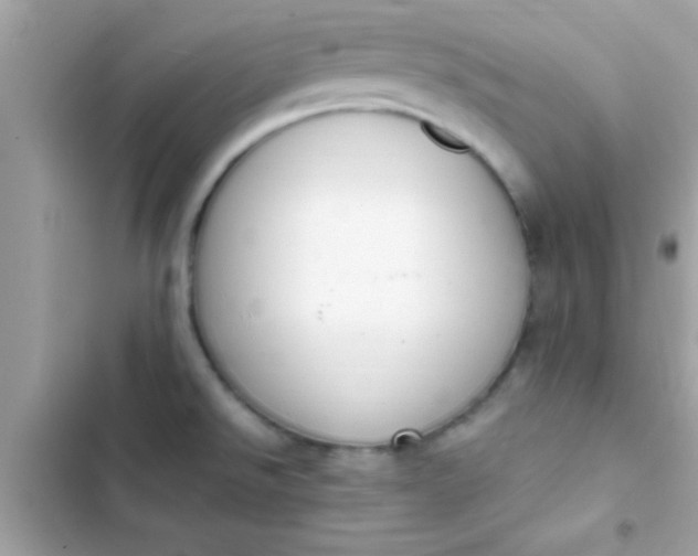 X0000103331526200809192152