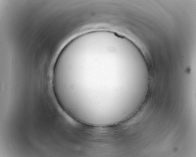 X0000103331527200809192152