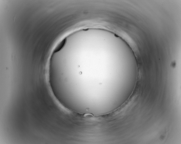 X0000103331528200809192152