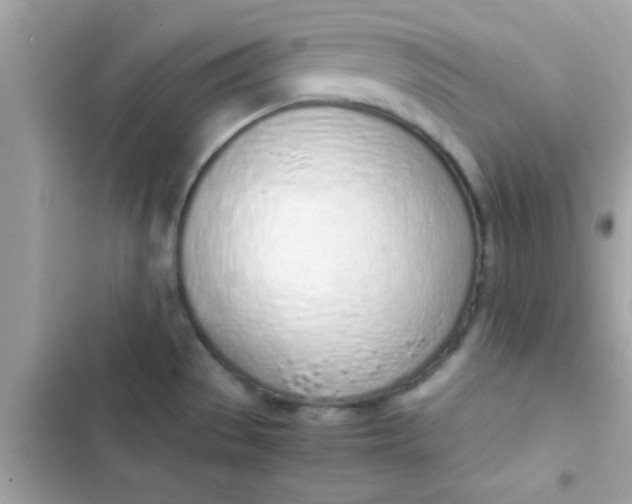 X0000103331529200809192152