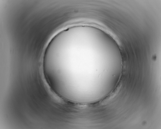 X0000103331530200809192152