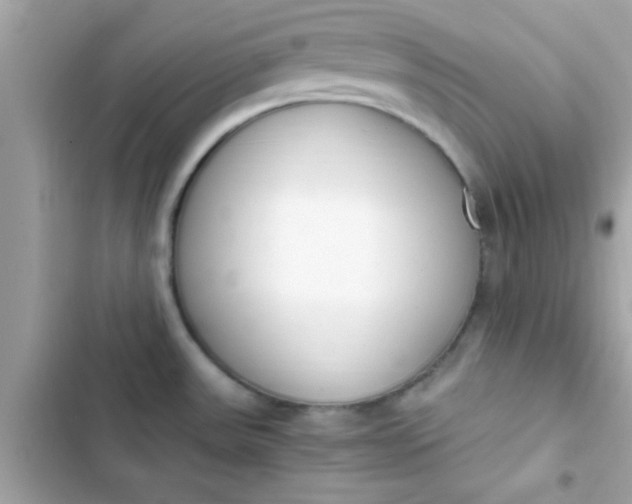 X0000103331531200809192152