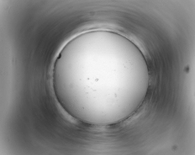 X0000103331532200809192152