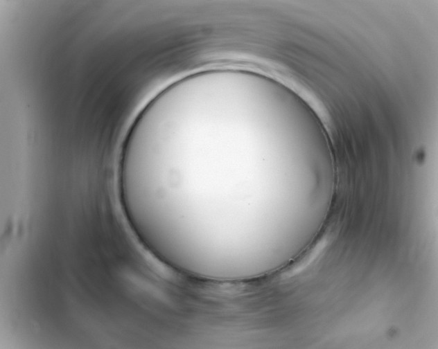 X0000103331533200809192152