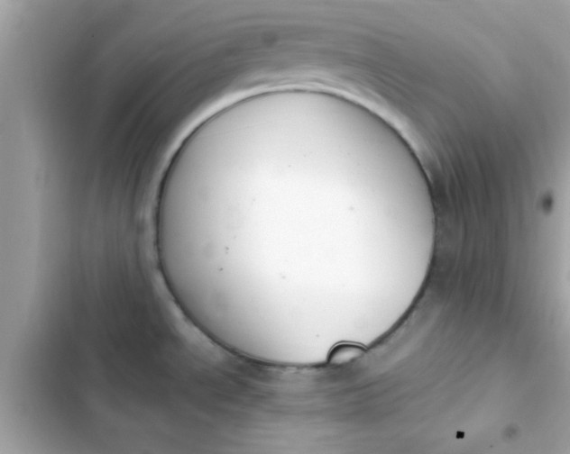 X0000103331534200809192152