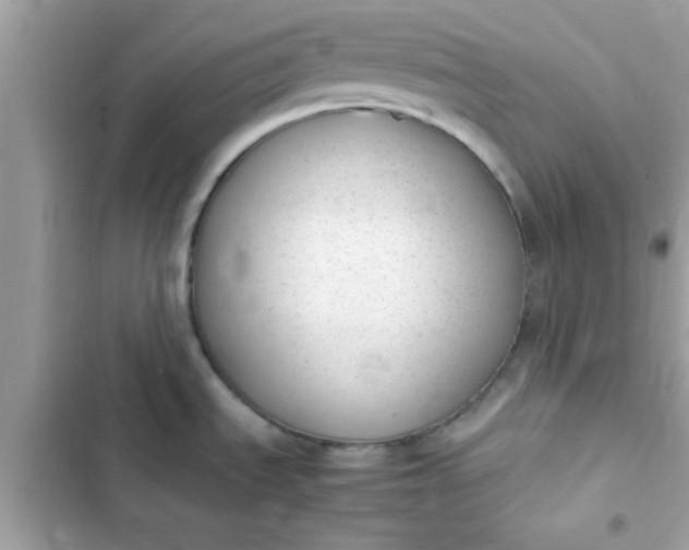 X0000103331535200809192152