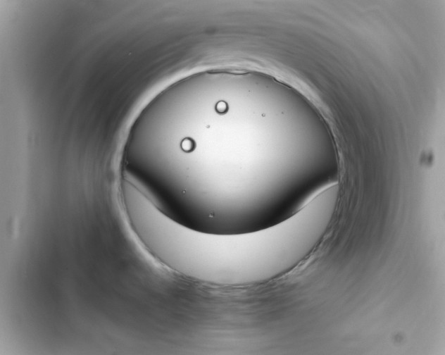 X0000103331536200809192152