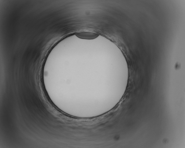 X0000103330001200809261212