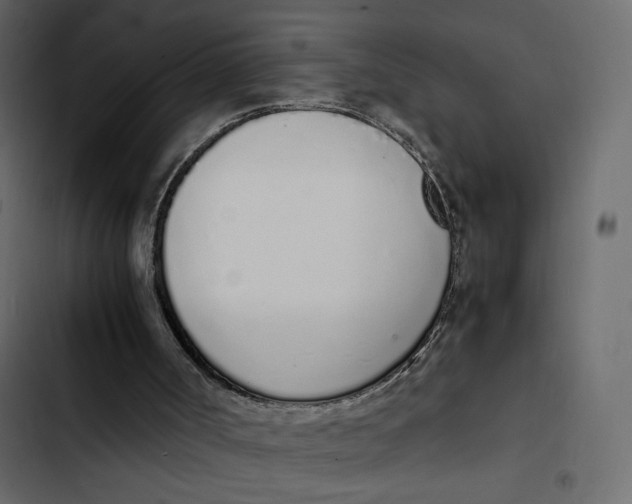 X0000103330002200809261211