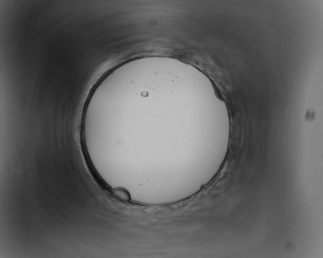 X0000103330003200809261211