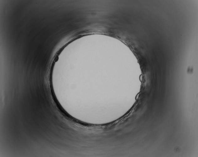 X0000103330004200809261211