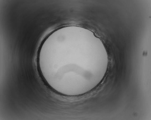 X0000103330006200809261211