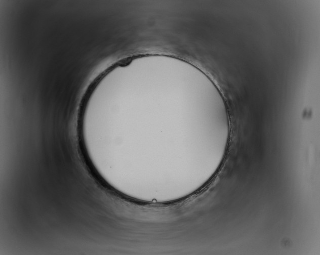 X0000103330008200809261211